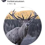 Appartamento Schoene Aussicht Sauerland By Koelbel Familienurlaub Mit Hund *