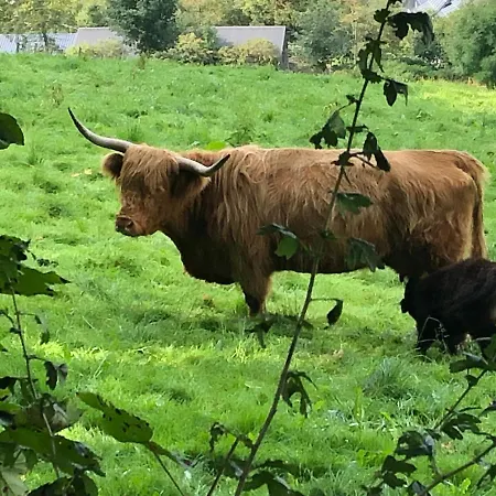 Schoene Aussicht Sauerland By Koelbel Familienurlaub Mit Hund Apartamento *