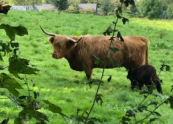 Schoene Aussicht Sauerland By Koelbel Familienurlaub Mit Hund Apartament *